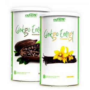 BATIDOS GINKGO ENERGY 600 gramos