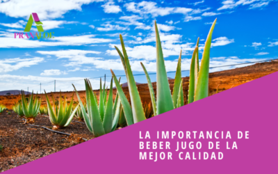 La importancia de beber jugo de Aloe Vera de la mejor calidad