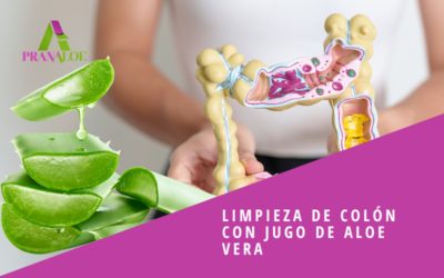 Limpieza de Colón con Jugo de Aloe Vera