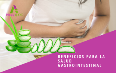 Beneficios para la Salud Gastrointestinal
