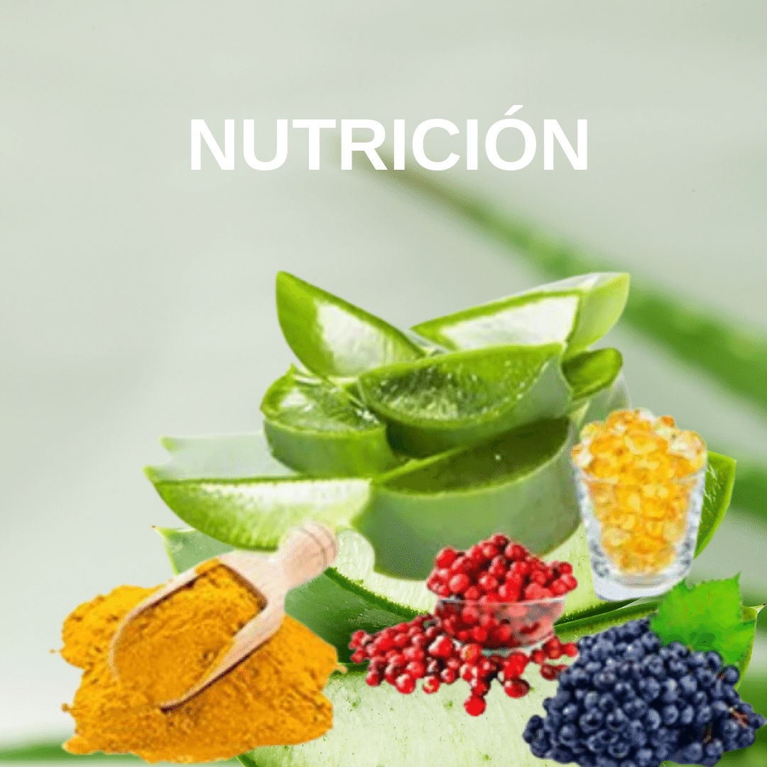 Nutrición