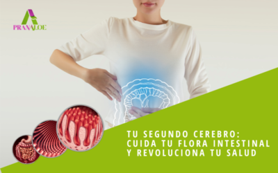 Tu Segundo Cerebro: Cuida tu Flora Intestinal y Revoluciona tu Salud