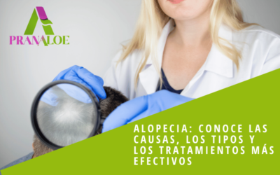 Alopecia: Conoce las causas, los tipos y los tratamientos más efectivos