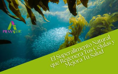 Alga Klamath: El Superalimento Natural que Regenera Tus Células y Mejora Tu Salud